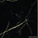 Revest Marmo Nero Marquina Brilho 45cmx2m-Con-Tact