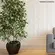 Revestimento Prisma Lux Acetinado 31x54-Caixa Com 1,34M²-Savane